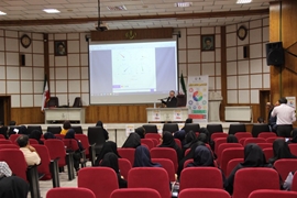 برگزاری کارگاه آموزشی «خودشناسی - مخاطب شناسی» ویژه اصحاب رسانه